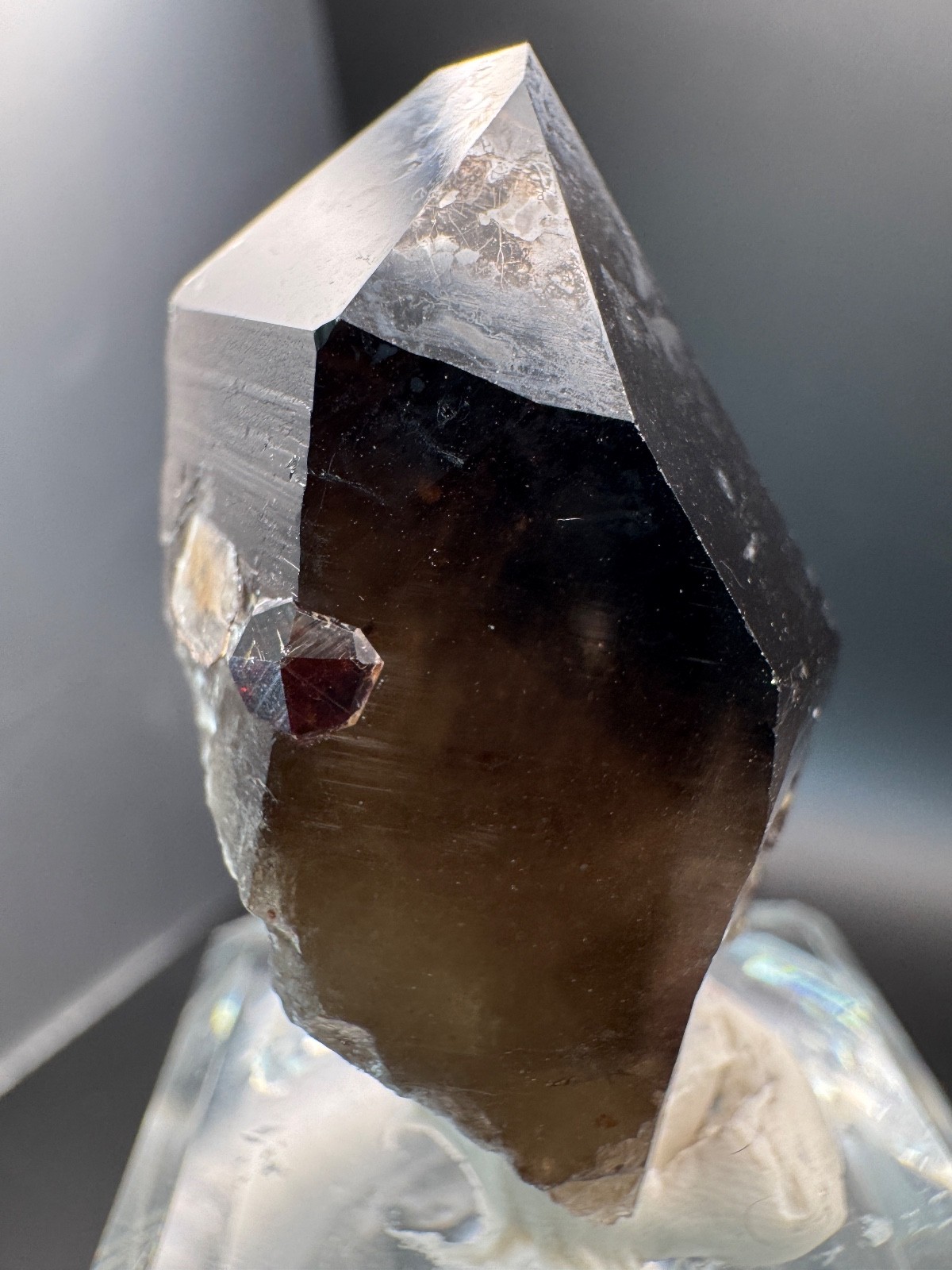 6178 Smoky Quartz Point with Red Garnets and Garnet Inclusions 34g Fu Jian