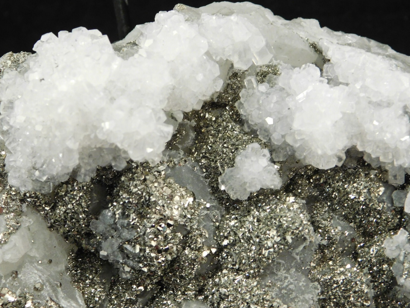 BIG! Pyrite Crystal Cluster on DOGTOOTH Calcite Crystals! From Mexico 1202gr