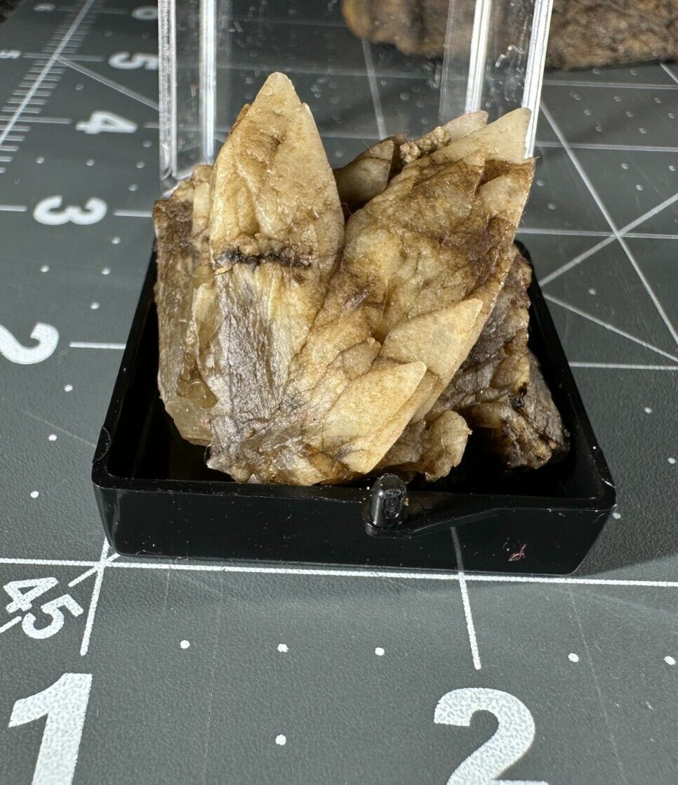 ➤ 1-3/8″ DOGTOOTH CALCITE CLUSTER Pleasant Ridge Rensselaer Indiana VIDEO➤430