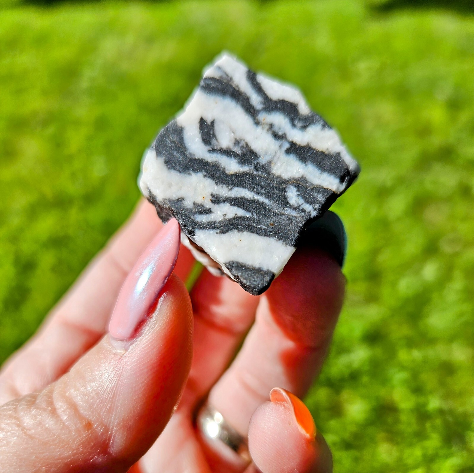 Zebra Calcite Layered Banded Stone Crystal Natural Raw Black And White ~1.5 In
