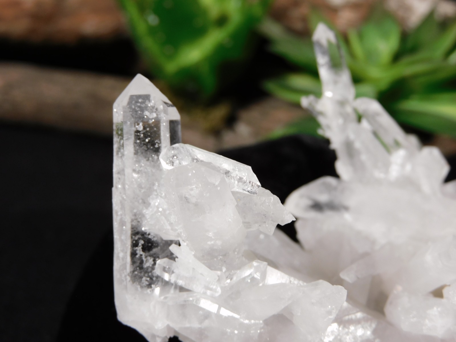 Twelve Points! TRANSLUCENT Quartz Crystal Cluster Collier Creek ARKANSAS 99.0gr