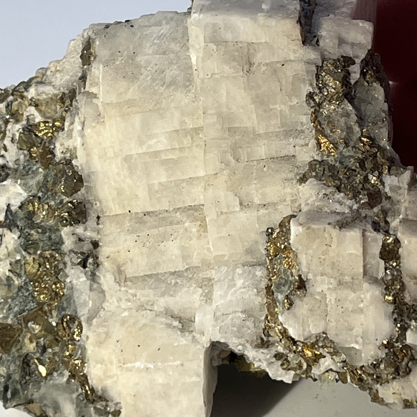 175g Rare Golden Chalcopyrite Iron Pyrite Gemstone Mineral Specimen in Calcite