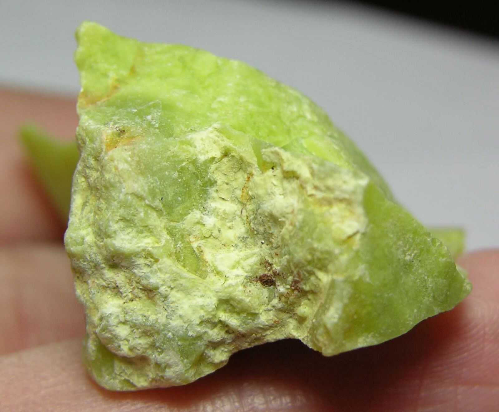 #11 Madagascar 67.70ct 100% Natural Raw Rough Green Opal Specimen 13.50g 51.00mm