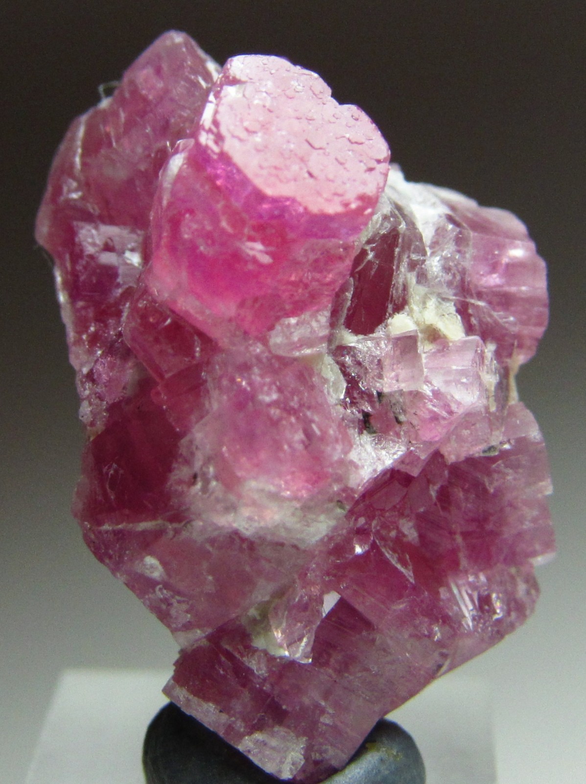 UNBELIEVABLE AESTHETIC GEM PEZZOTTAITE BERYL CRYSTAL!!! MADAGASCAR NEW FIND