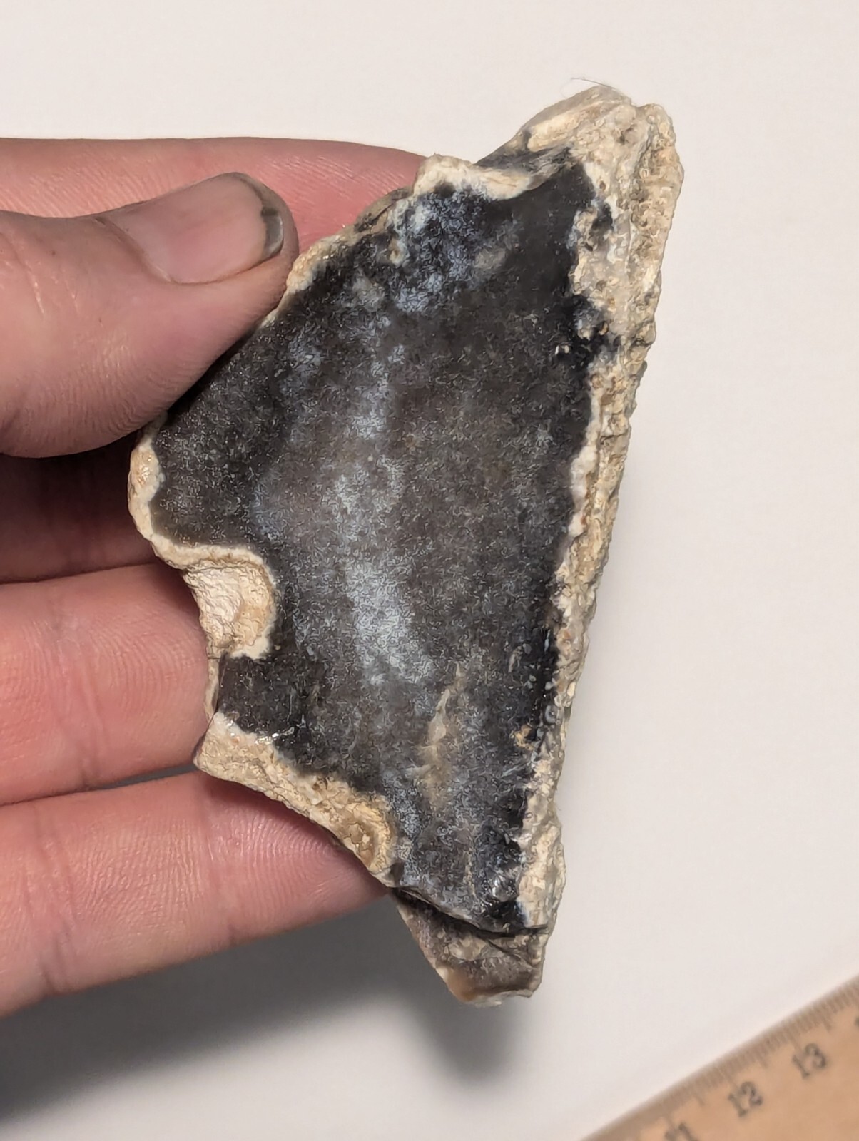 Natural Funky Black Coral Fossil Alabama Crystal Flint
