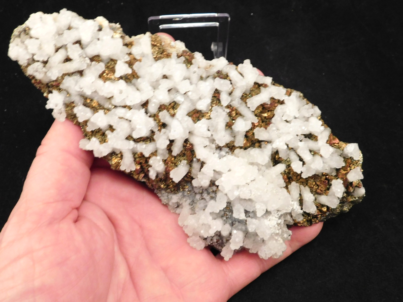 Big! MARCASITE Crystal Cluster with Fluorescent Calcite Crystals Mexico 538gr