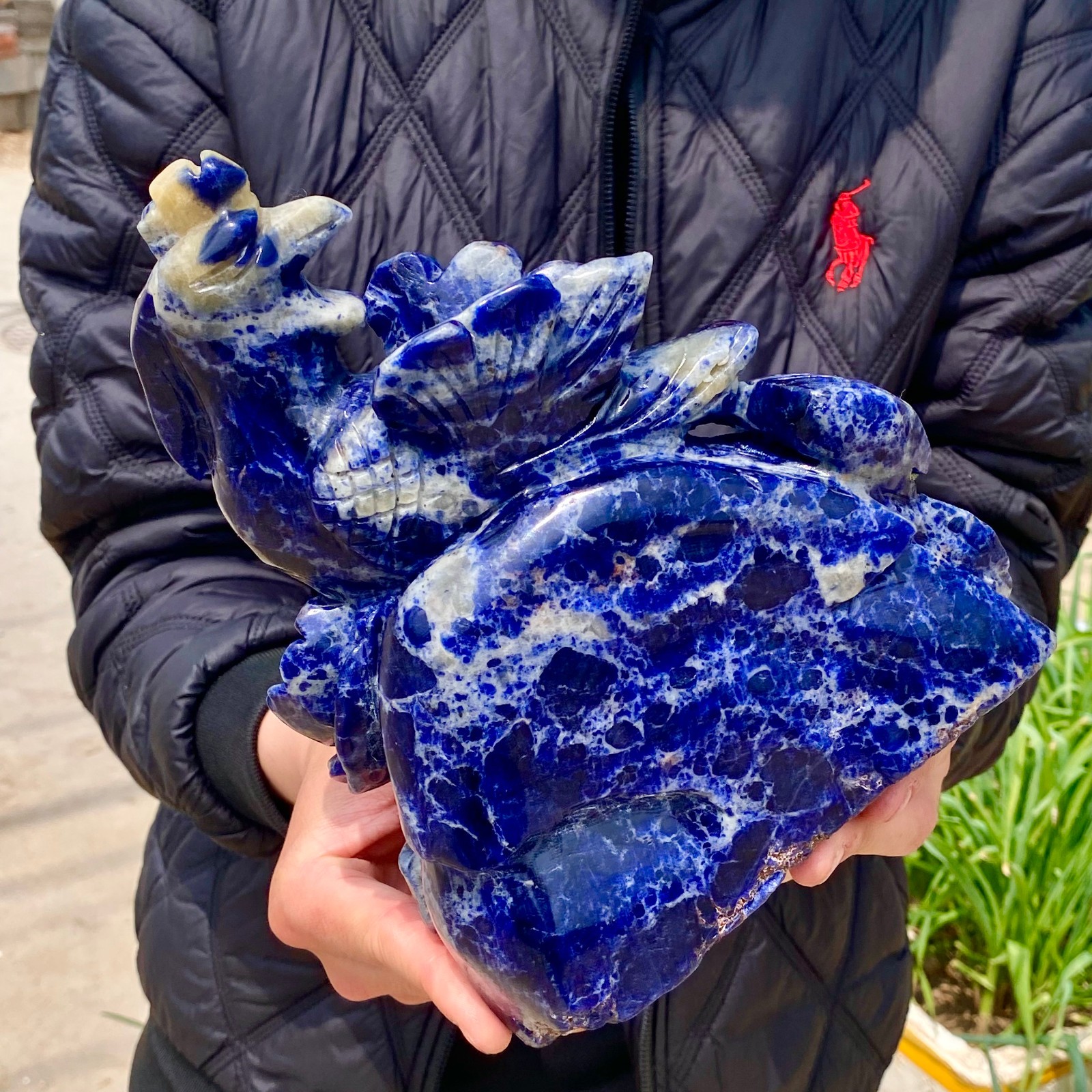 6.1LB Natural Blue Texture Crystal Carving Phoenix Rose Spiritual Energy