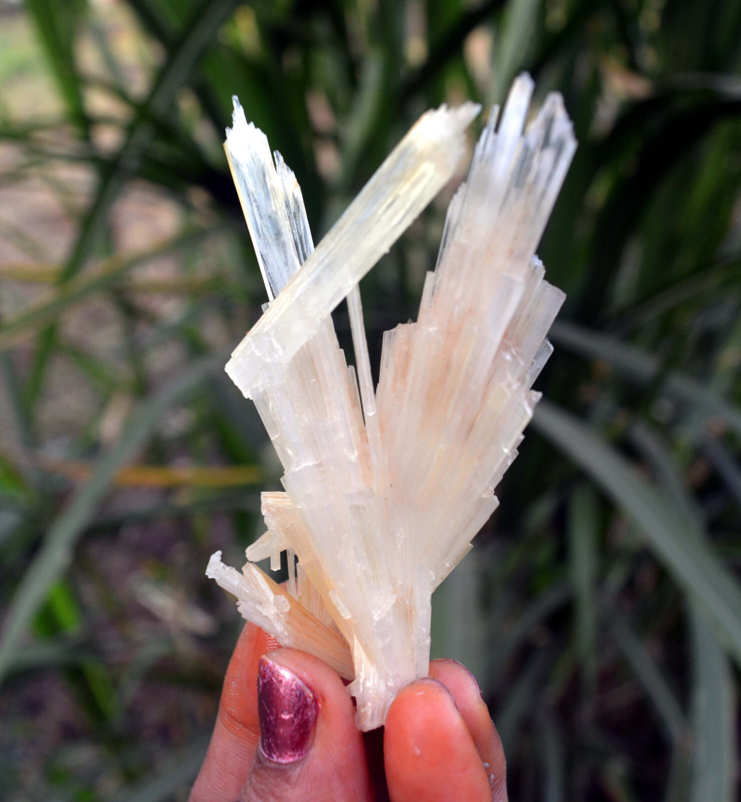 scolecite spray minerals specimen f-2