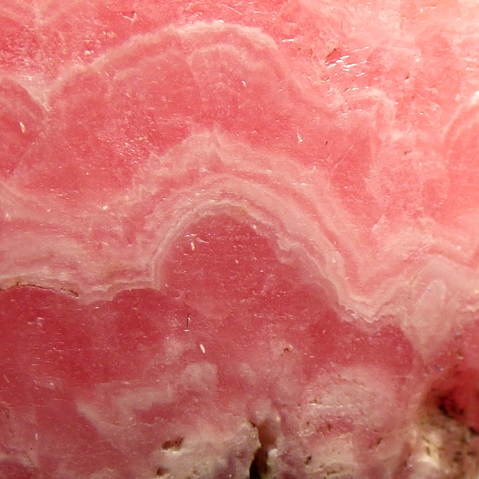 Banded Rhodochrosite Slice Argentina 55mm Deep Pink Old Stock A Grade UNPOLISHED