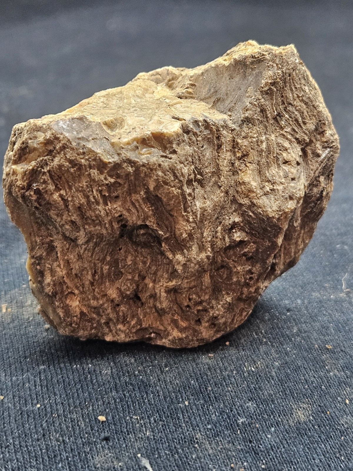 Natural Raw Amber Specimen Rough Unpolished Fossilized Resin Stone Rock