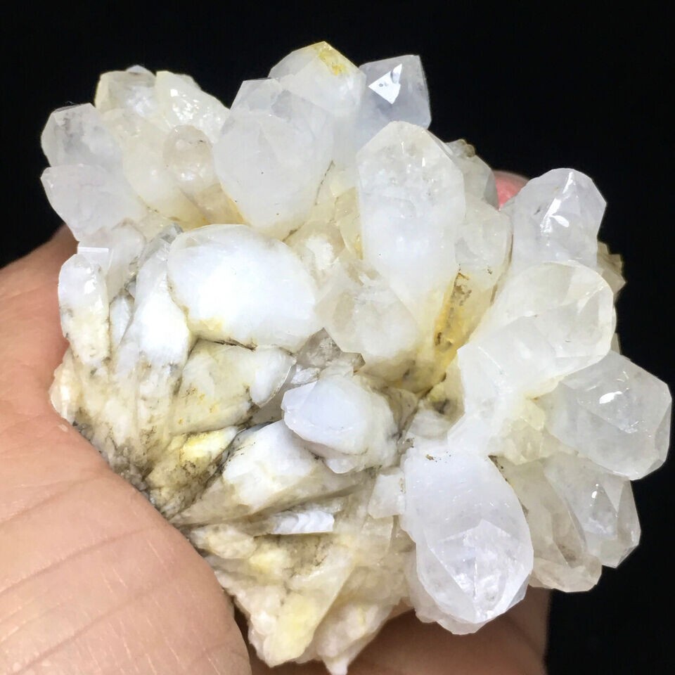 225g Museum Quality Transparent White Quartz Crystal Cluster Mineral Specimen