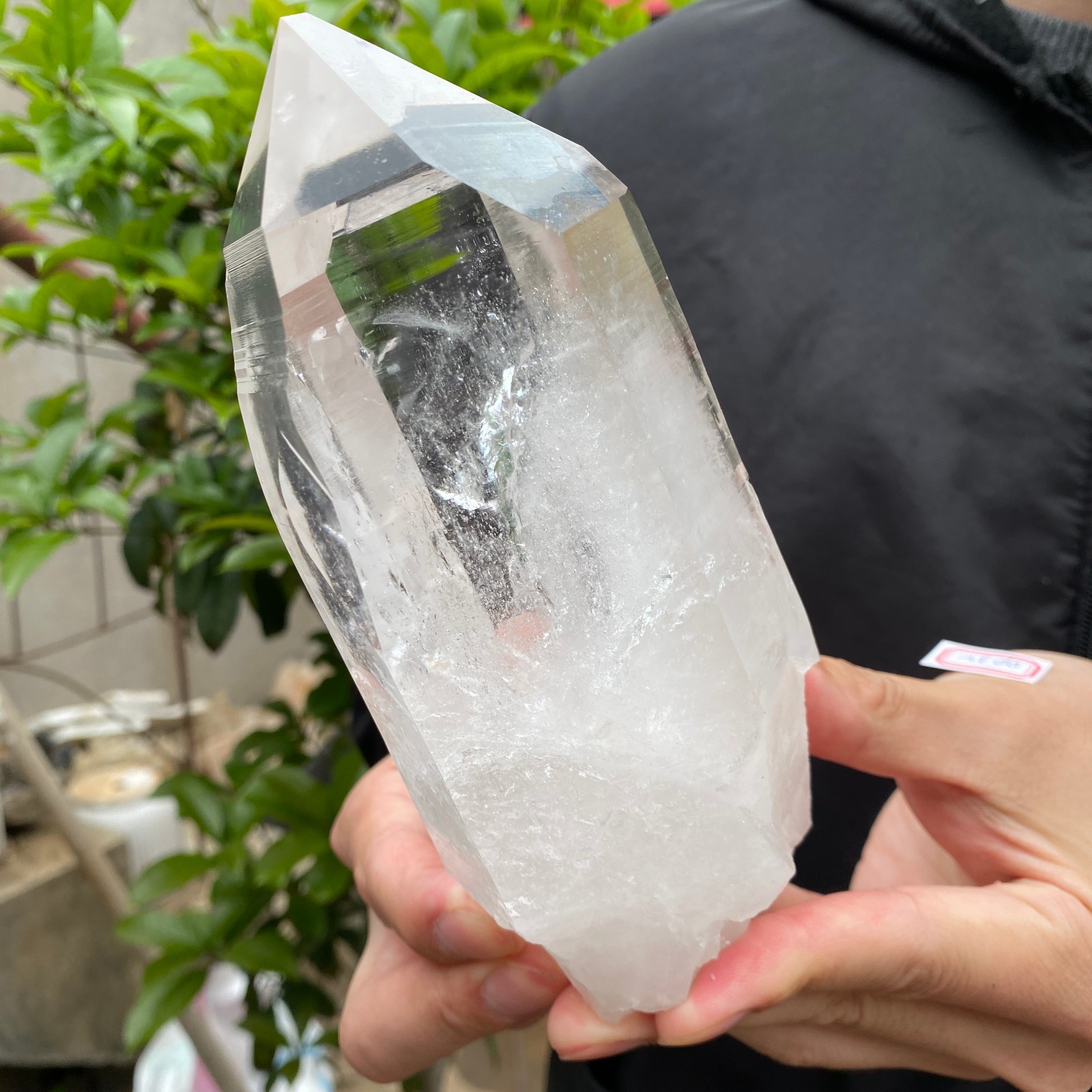 2.3lb Raw Natural Clear White Quartz Crystal Rough Healing Specimen