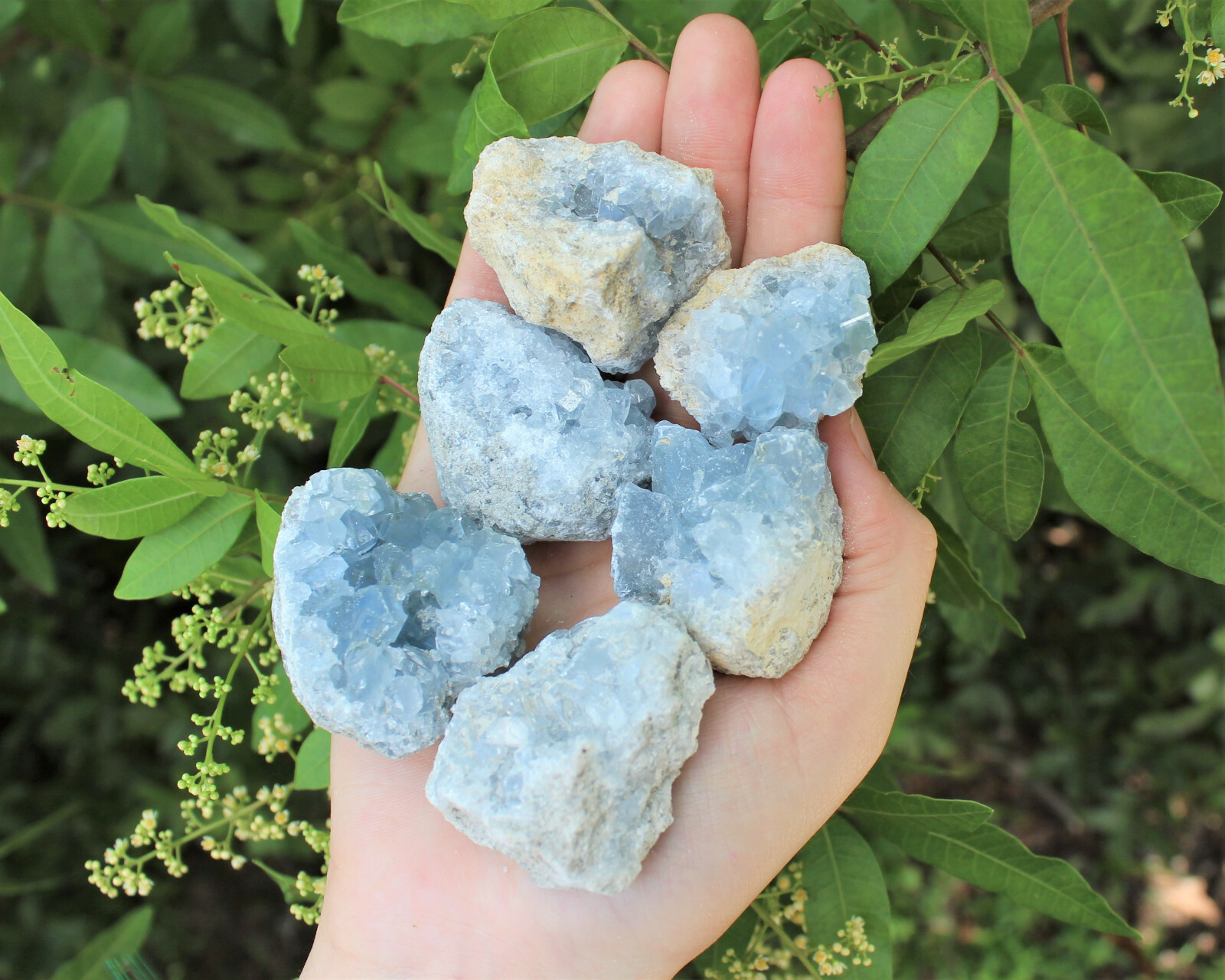 Natural Celestite Clusters – Wholesale Bulk ‘A’ Grade: 10-15 Piece Bulk Box Lot