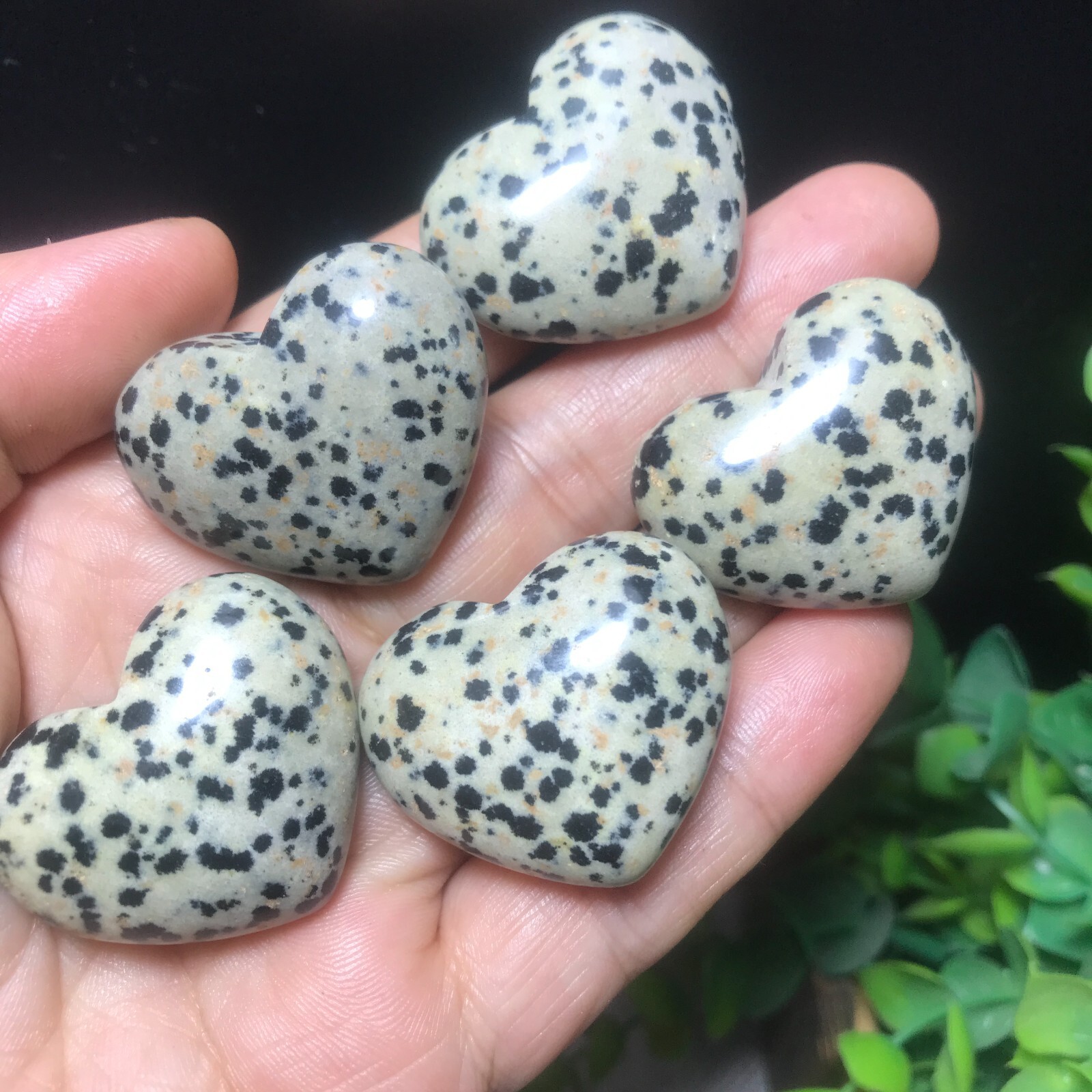5PC 84g Natural Dalmatian Jasper Crystal Heart Crystal Home Office Decorative