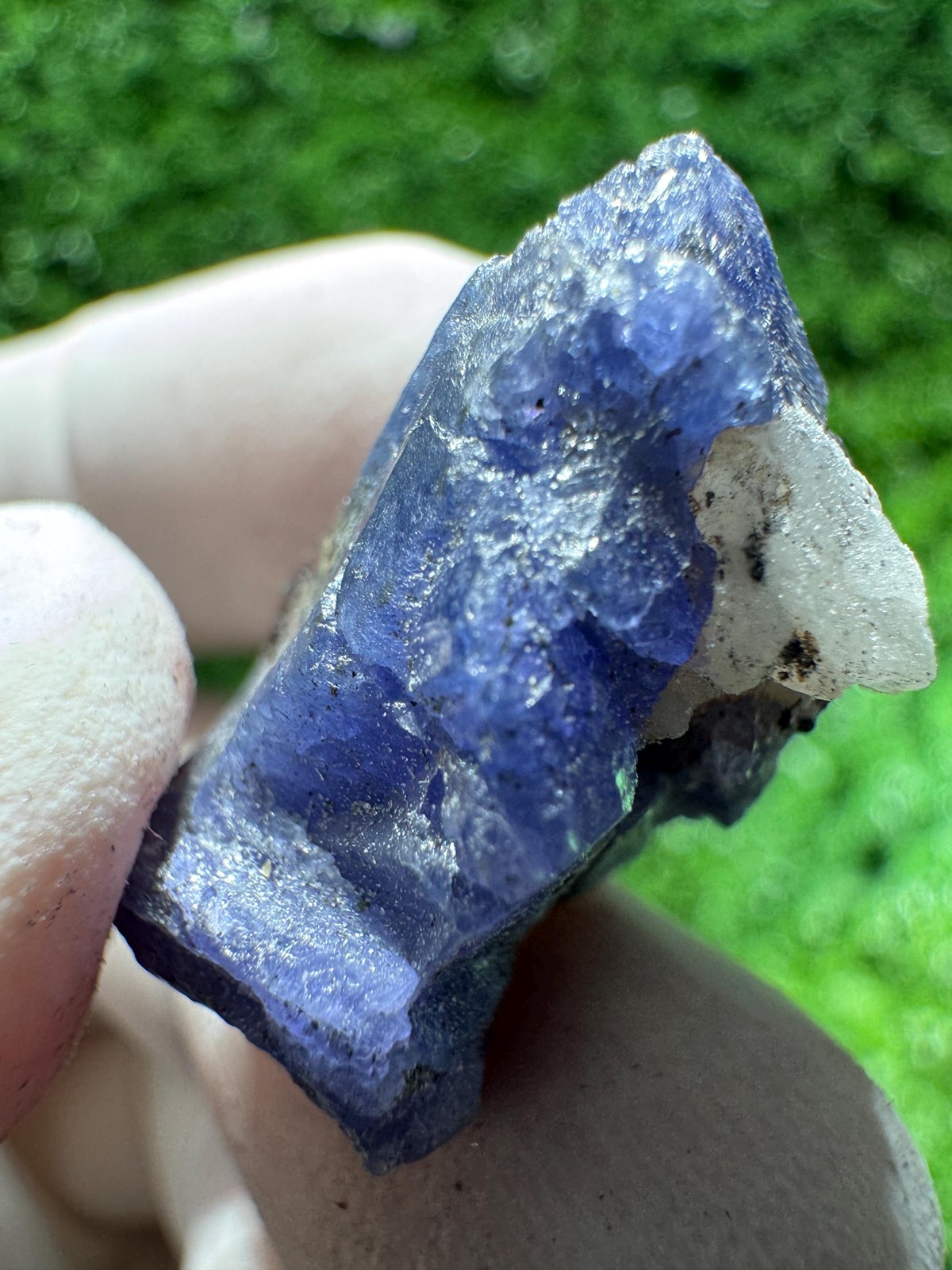 TANZANITE Crystal with COLOR CHANGE under / N638