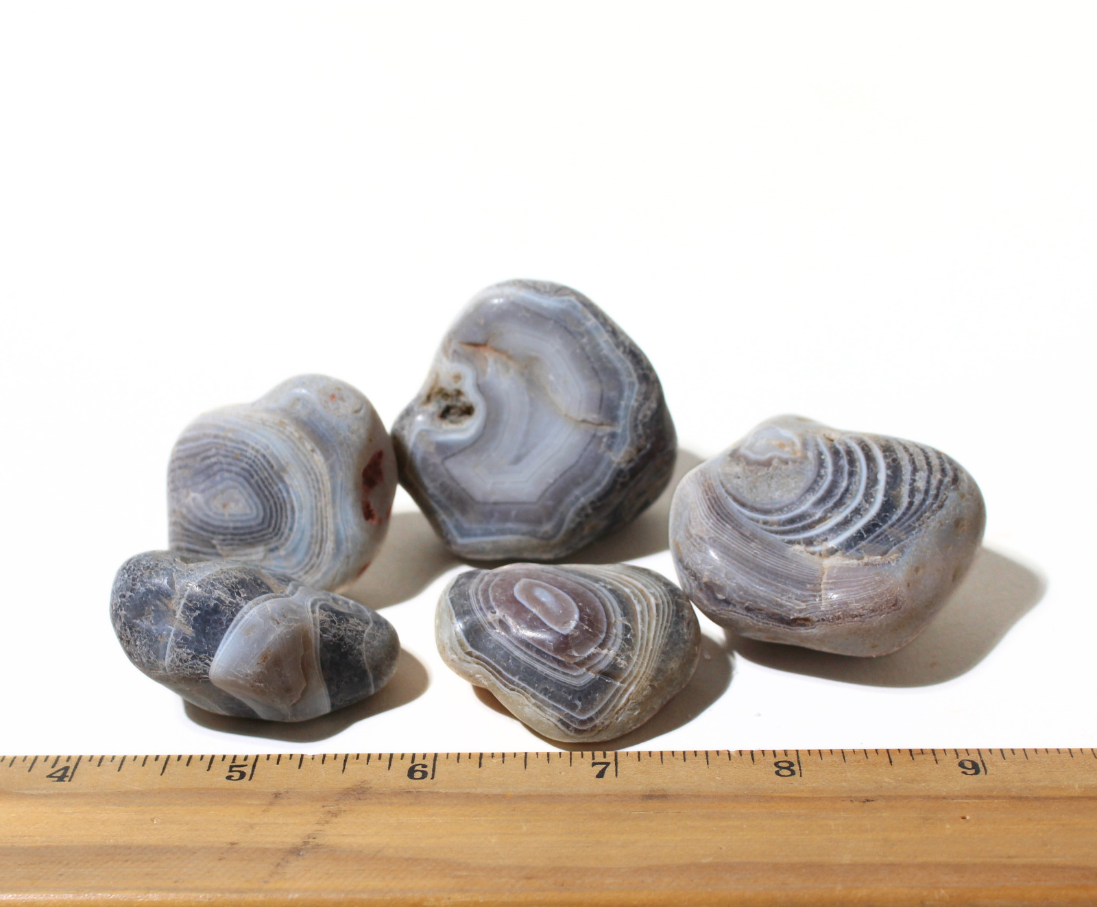 Gray Botswana Agate – Rough Rocks for Tumbling – Bulk Wholesale 1 LB+ options