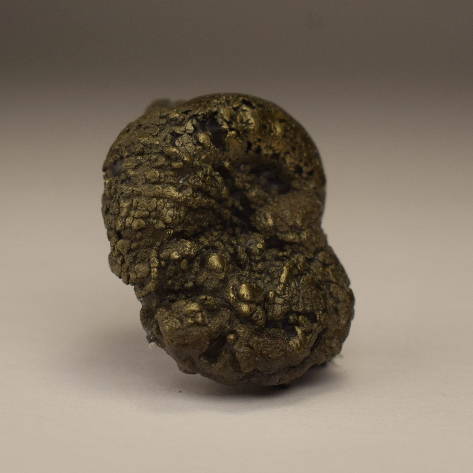 UNIQUE Pyritized Ammonite AVEYRON, FRANCE