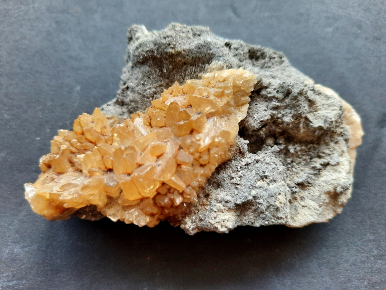 Golden Yellow Honey Calcite Crystals on Fossil Mangrove Clam Shell Rucks Pit