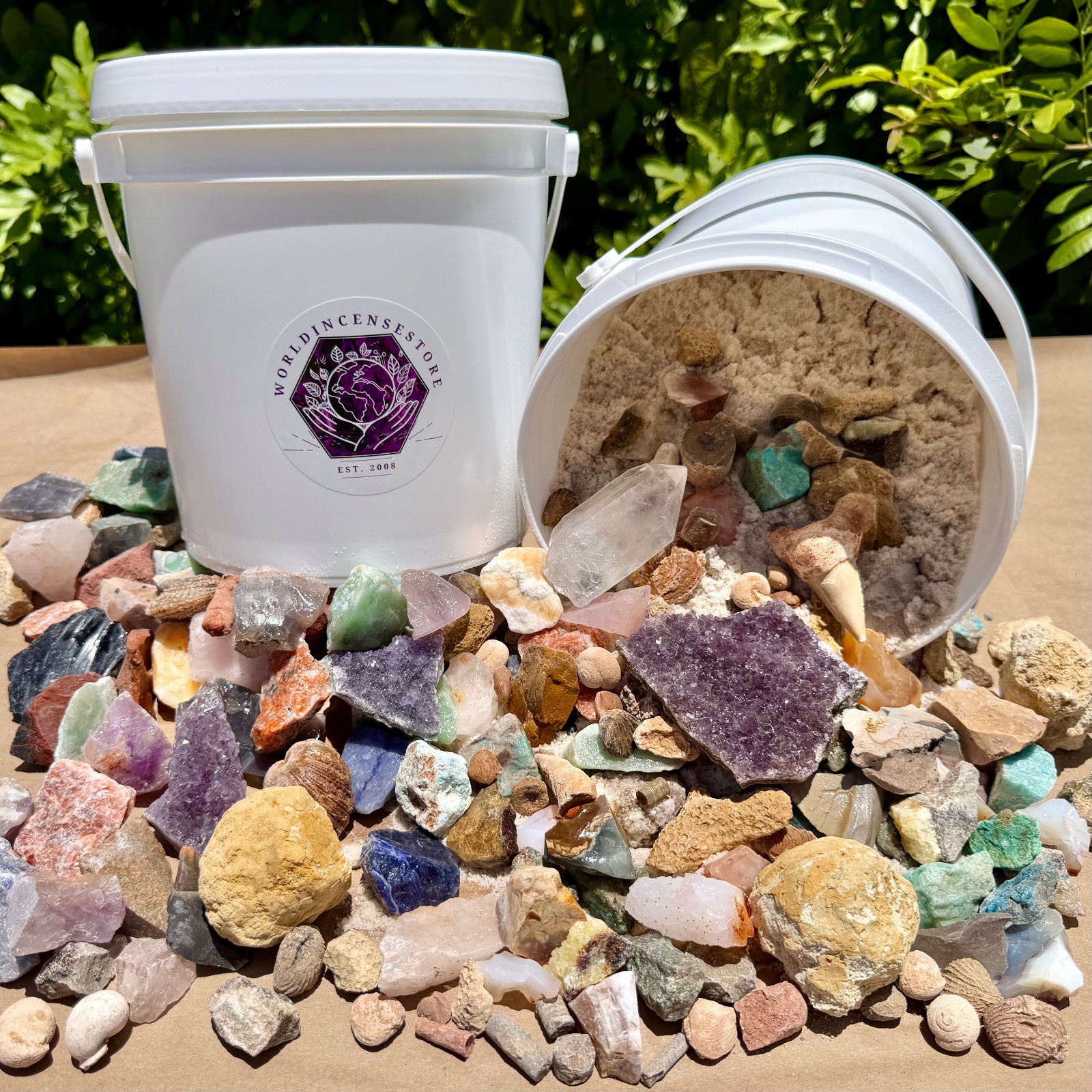 Mineral & Fossil Mining Bucket – Crystals, Fossils, Geodes and More – Gem Mining