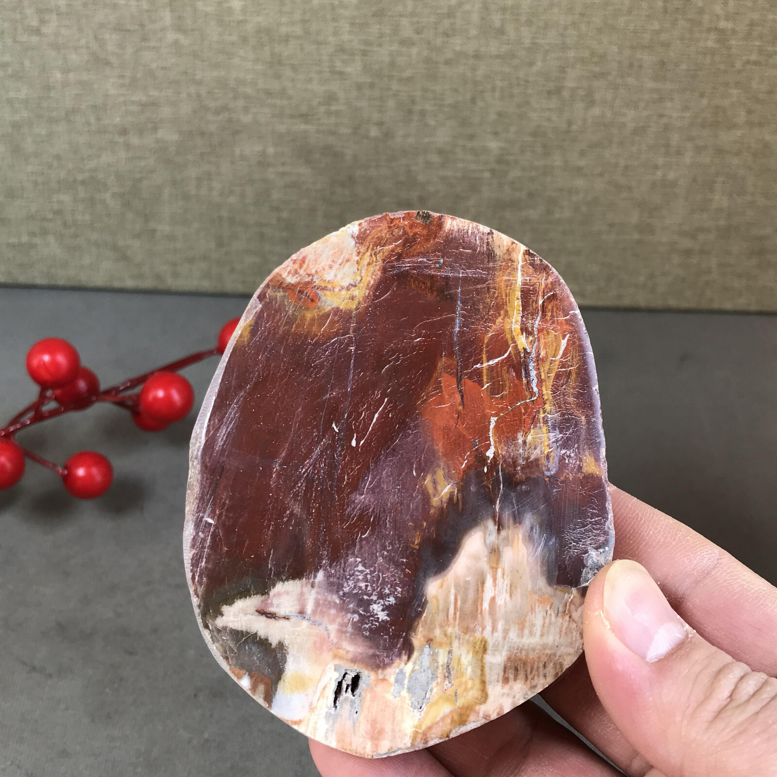 92mm natural Beautiful Petrified Wood Crystal Slice mineral specimen 266g A5424