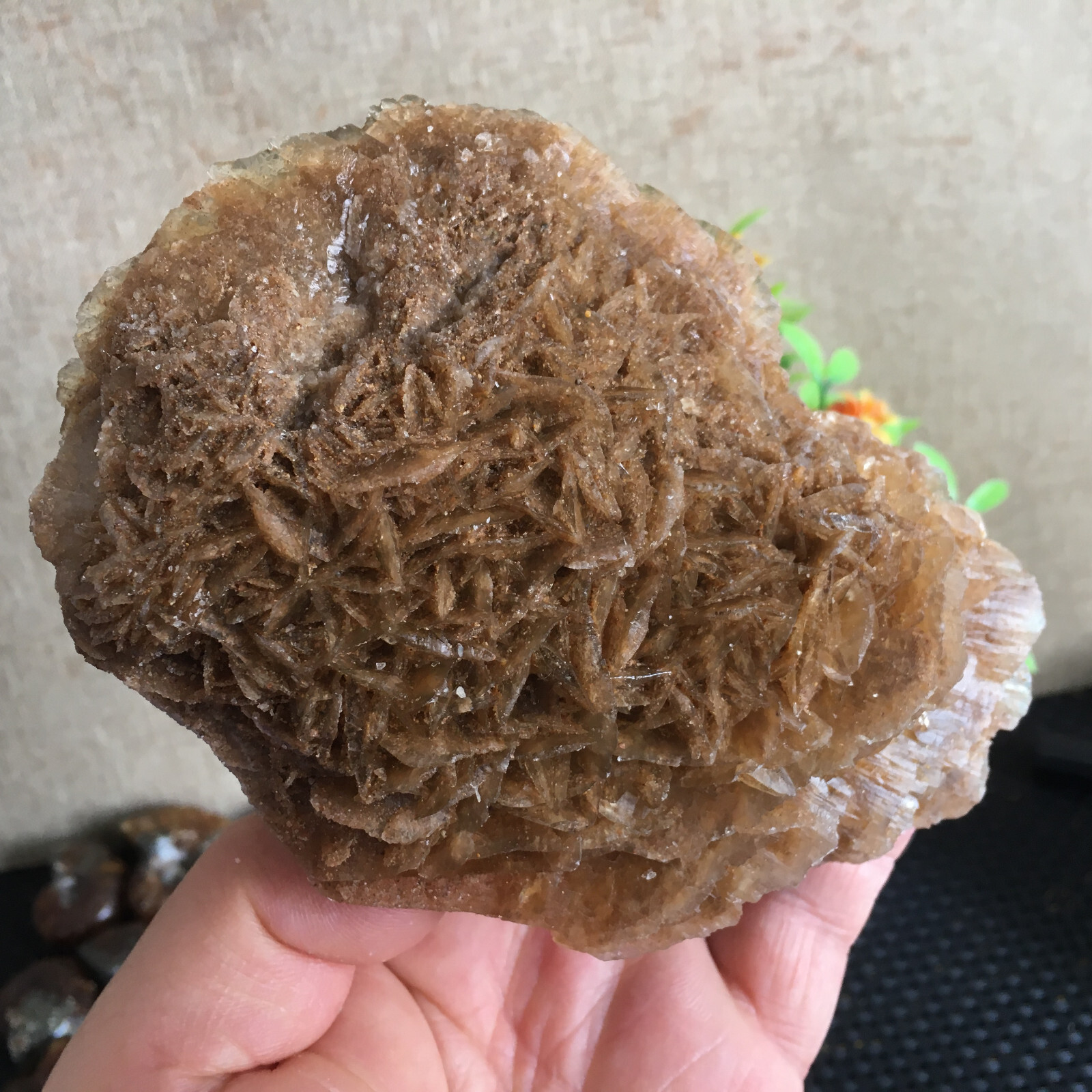 449g Natural Crystal Stone Desert Rose Specimen Decoration B1562
