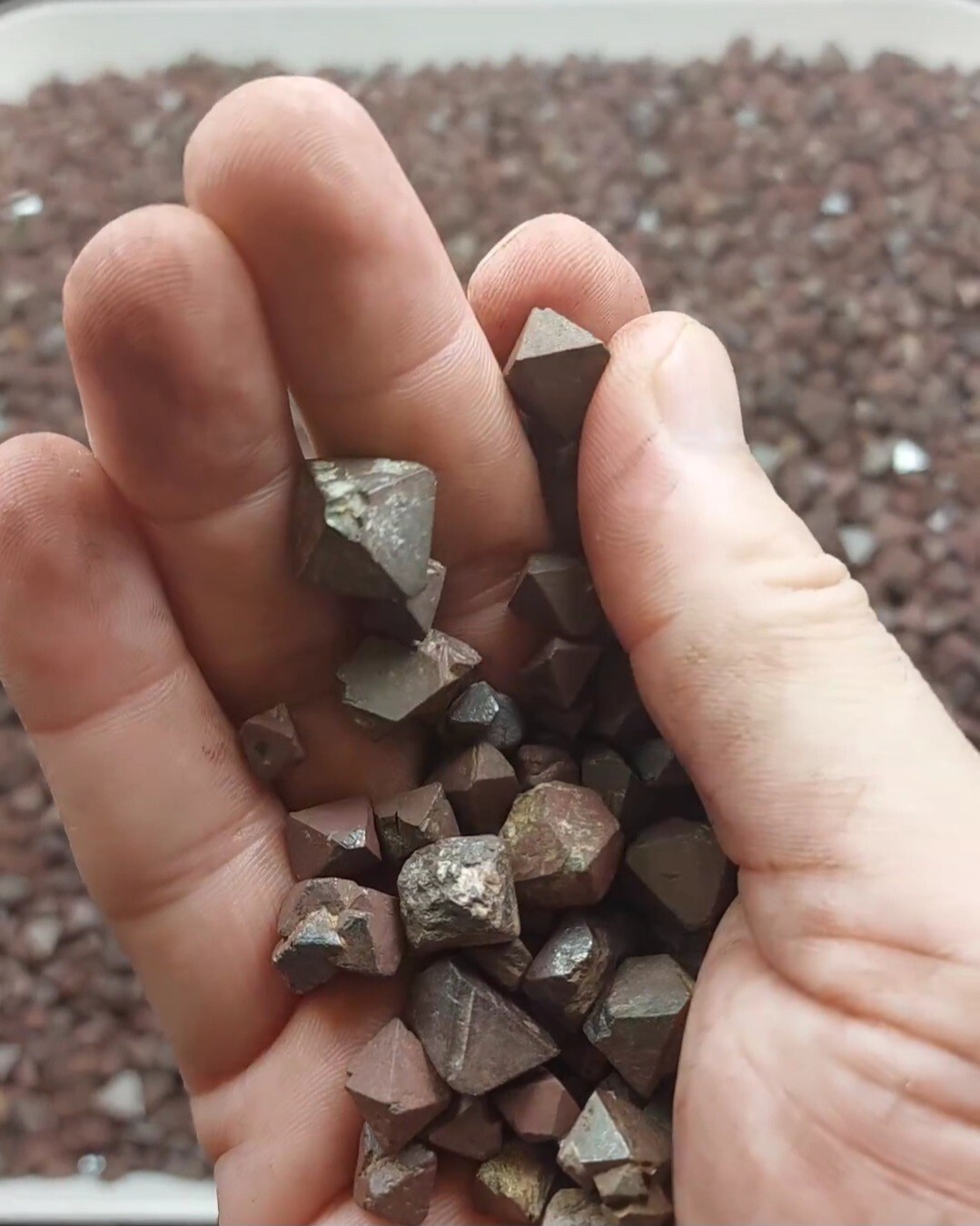 rocks fossils minerals crystals gemstones rough