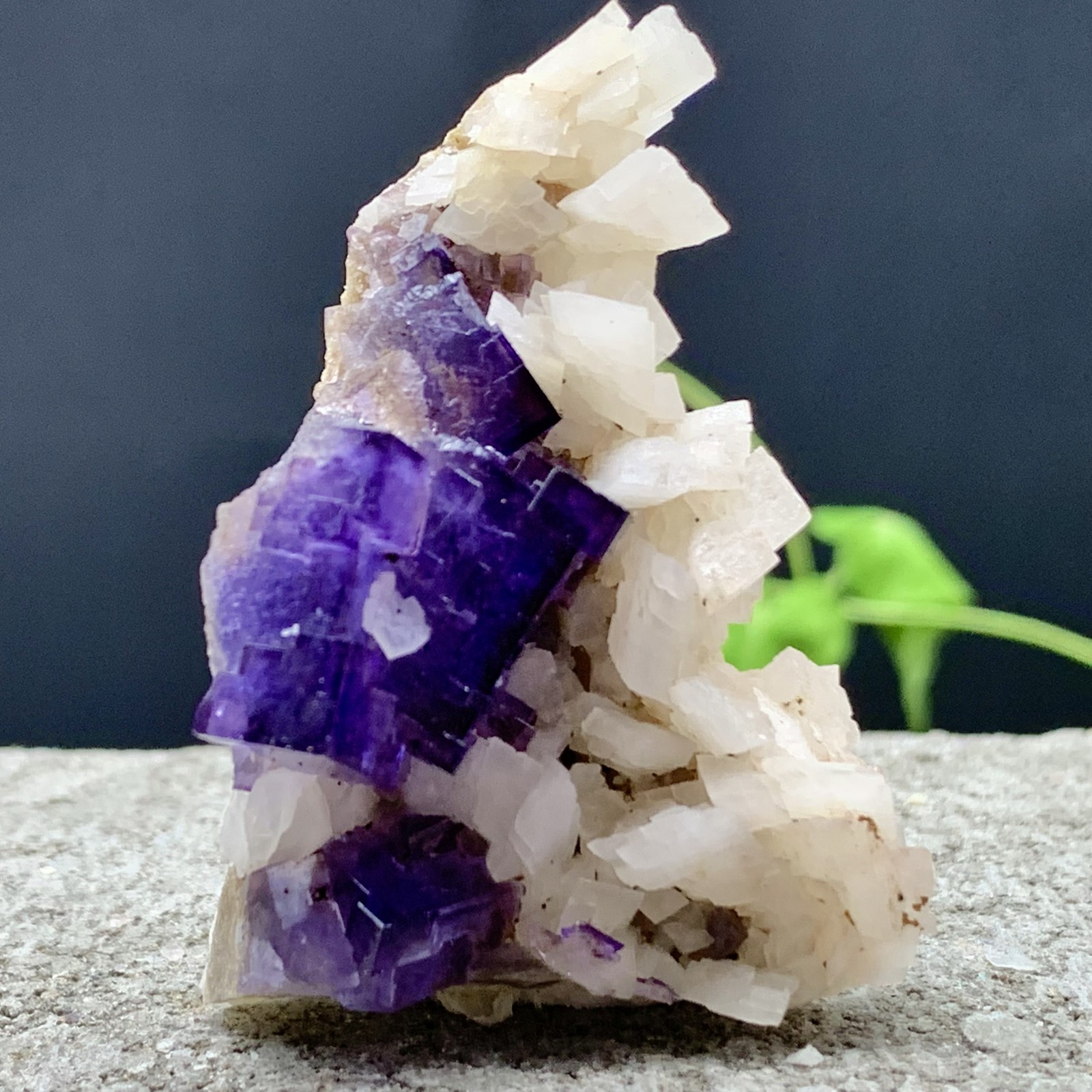 50G Natural purple, QR code fluorite, mineral specimen/China