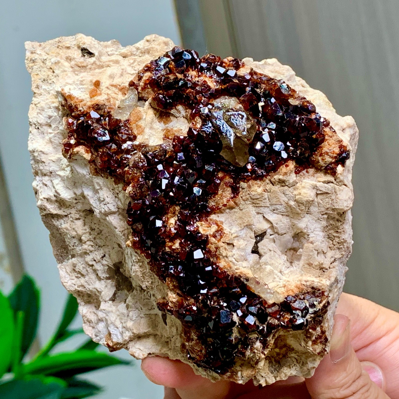1.92LB Natural Garnet with smokey quartz cluster Crystal Mineral Specimen