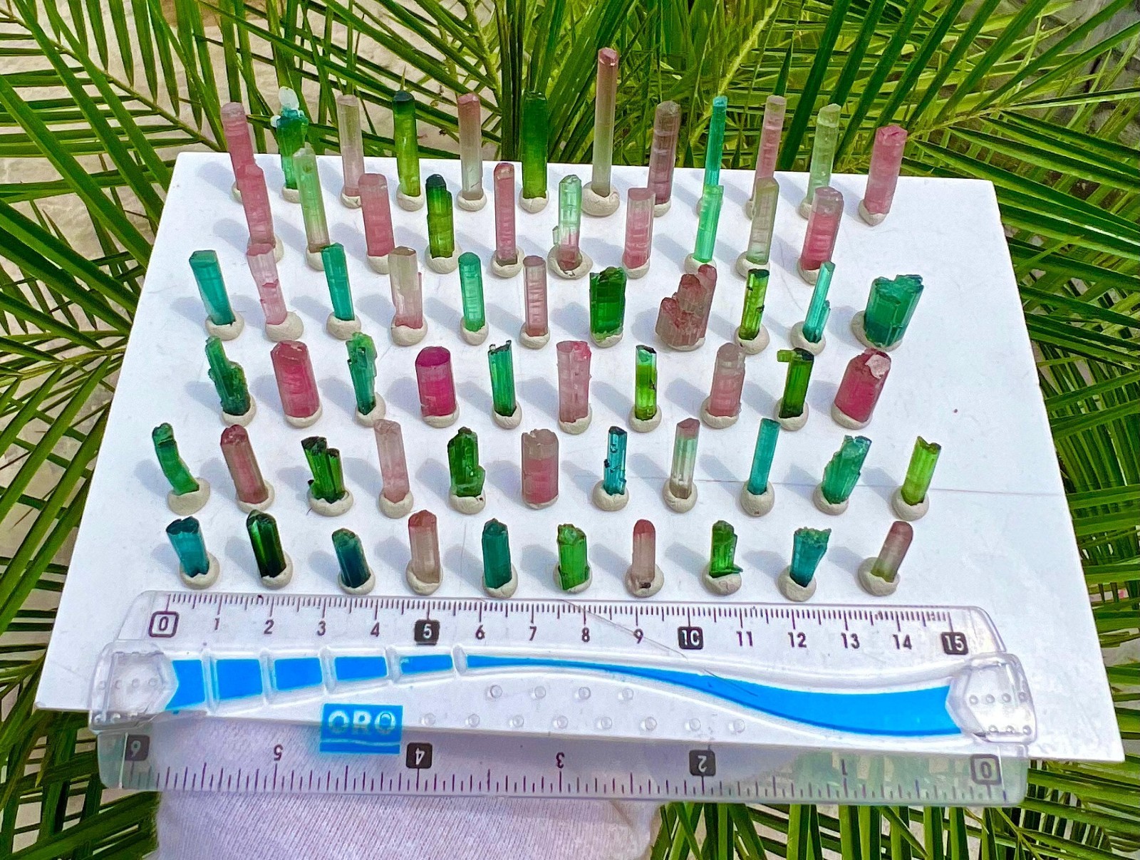 75 Grams Multi Coloured Lipstick Tourmaline Crystals Lot From Afghanistan