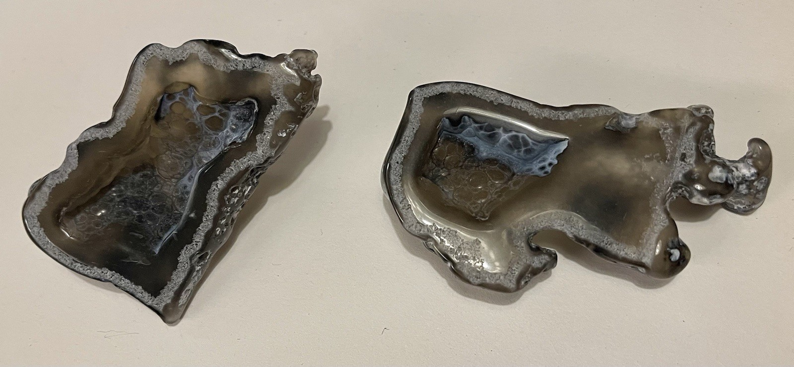 Fossilized- Agatized Tampa Bay Coral- 4 3/4″ x 1 1/2″
