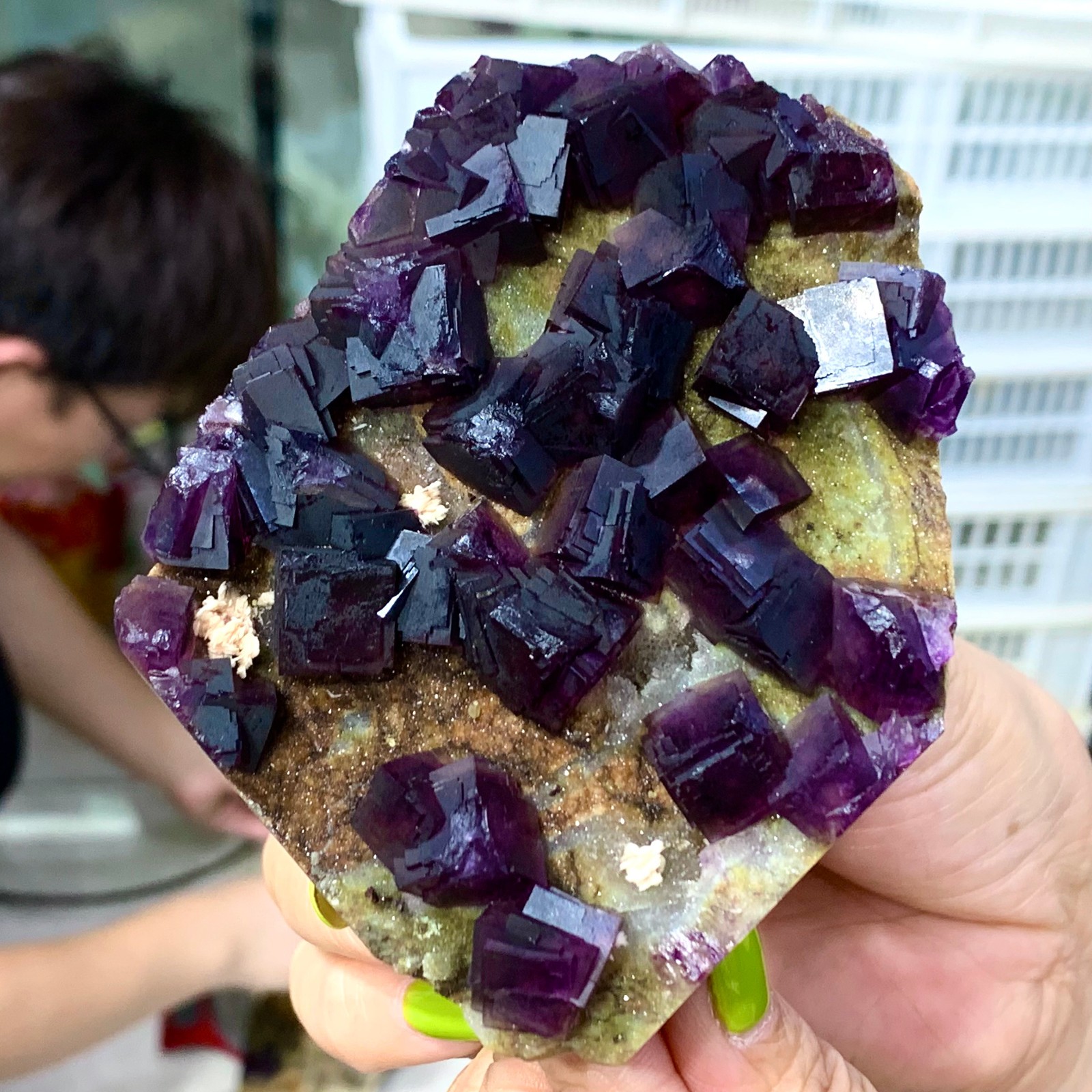 331G Rare Purple cubic fluorite mineral crystal sample/Zhejiang