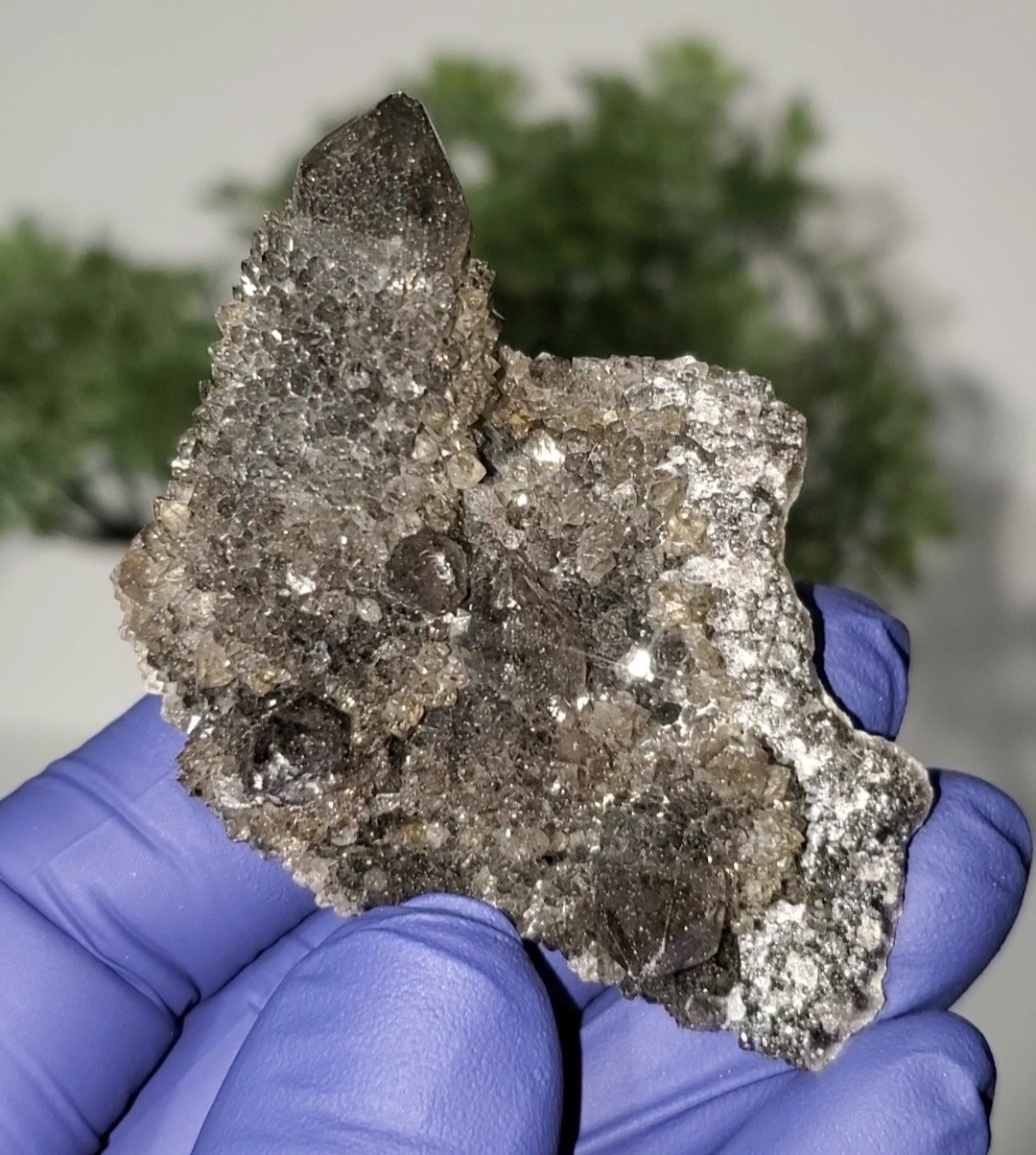 Black Spirit Quartz Cluster Specimen (Fairy Quartz) South Africa 34g
