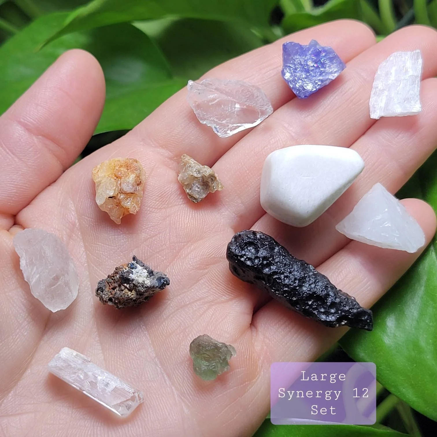 Synergy 12 Pendant, Set of 12 Rare Crystals