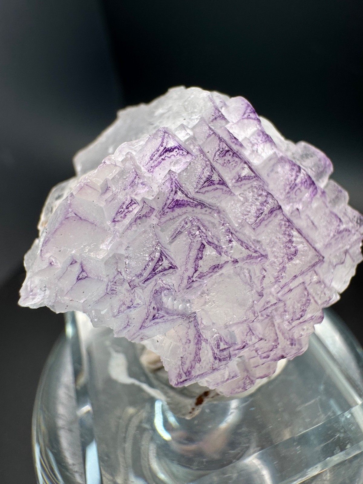 6836 NEW Database Fluorite Purple Triangle Yun Nan in Perky Box 34g