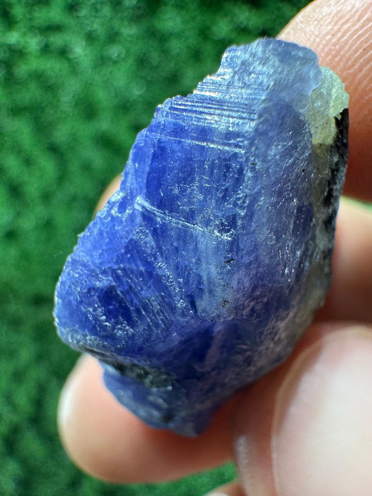 Lovely TANZANITE Crystal with COLOR CHANGE under yellow/white light / N370