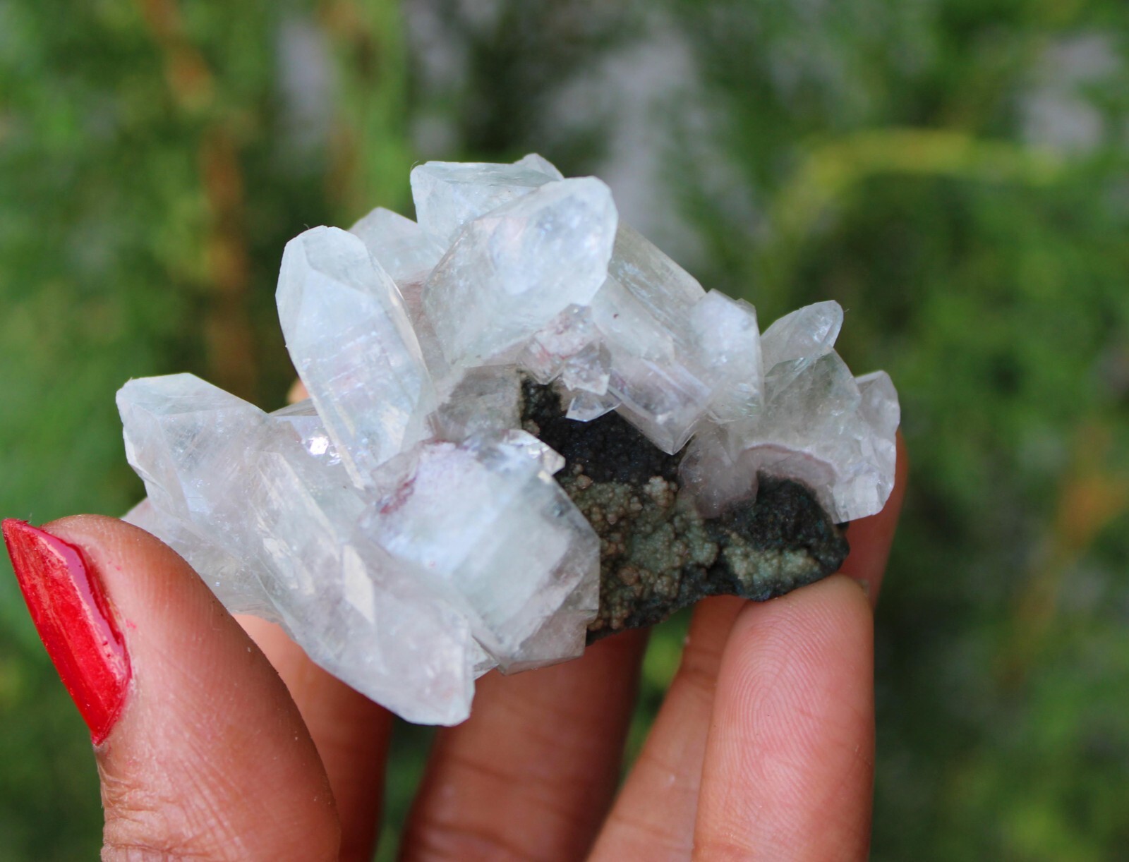 Pointed Green Apophyllite Crystals Minerals Specimen India