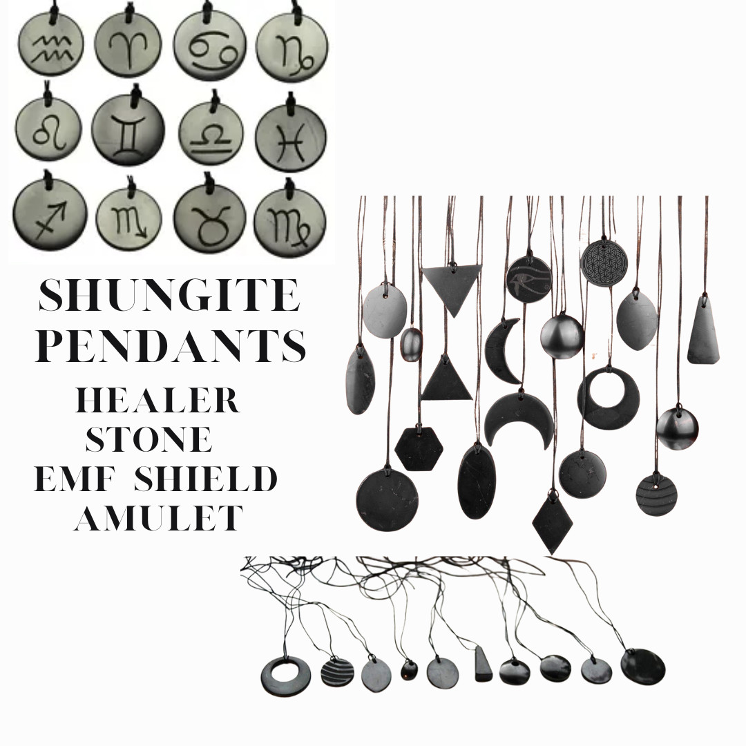 Shungite Stone Pendant Genuine Mineral EMF Shield Protection Amulet 50+ Styles