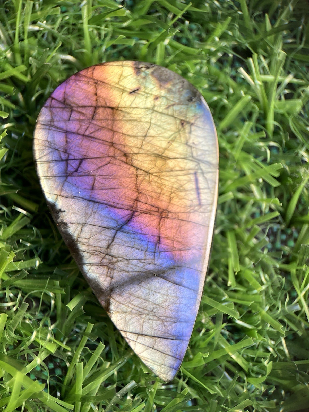 48 MM Spectrum Labradorite Palm Pocket Stone Crystal Gemstone Specimen 9.50 g