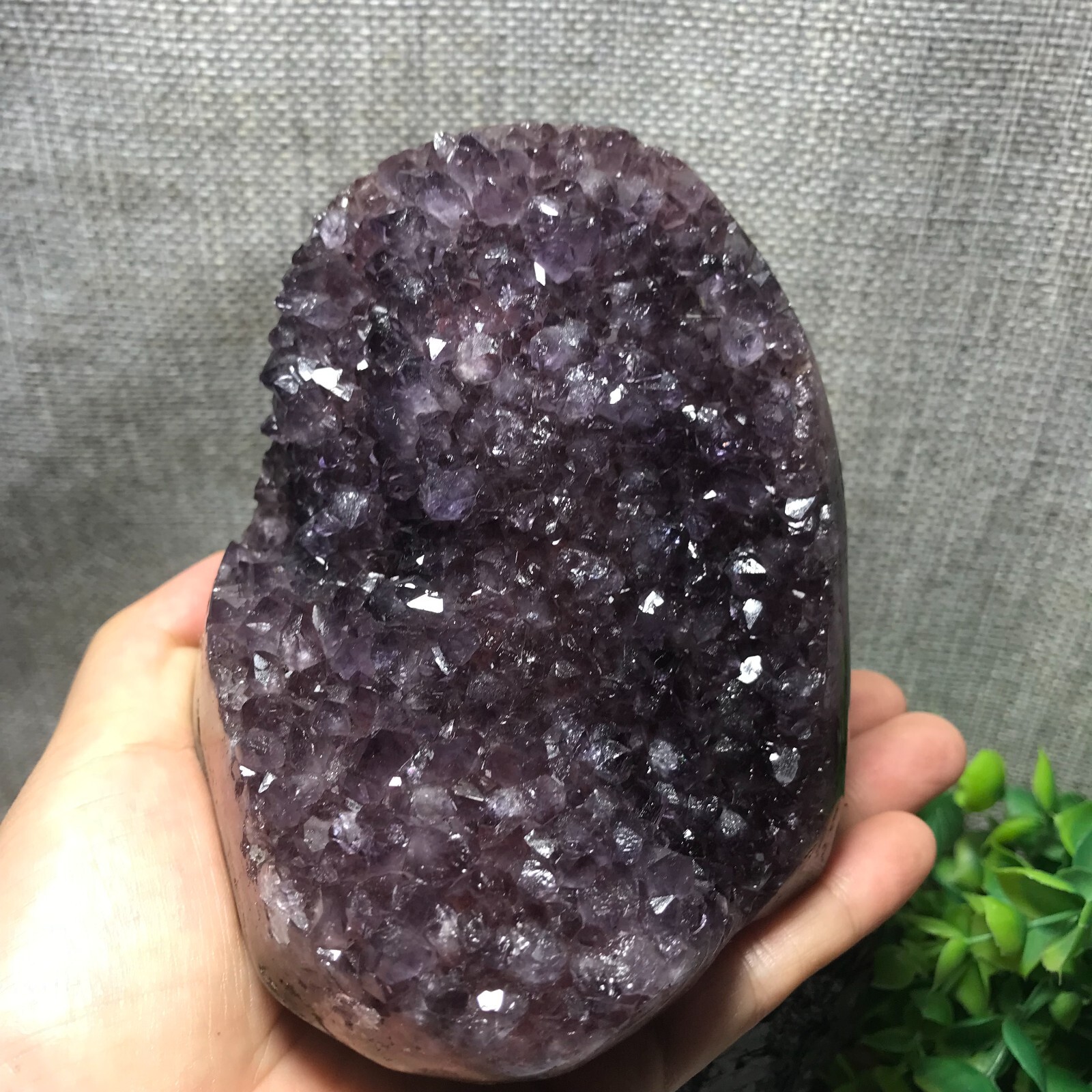 821g Natural Amethyst Cluster Geodes Cut Base Quartz Crystal Healing Specimen 32