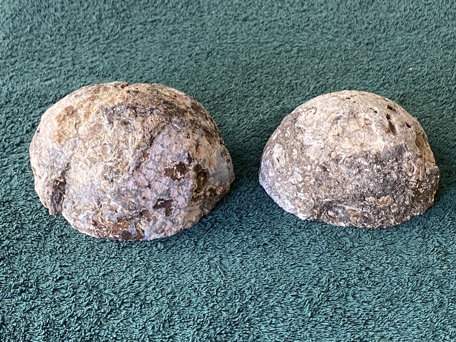 TWO (2) BEAUTIFUL LARGE NATURAL GEODE HALFS~AUTHENTIC & UNUSUAL~EXCELLENT ITEMS