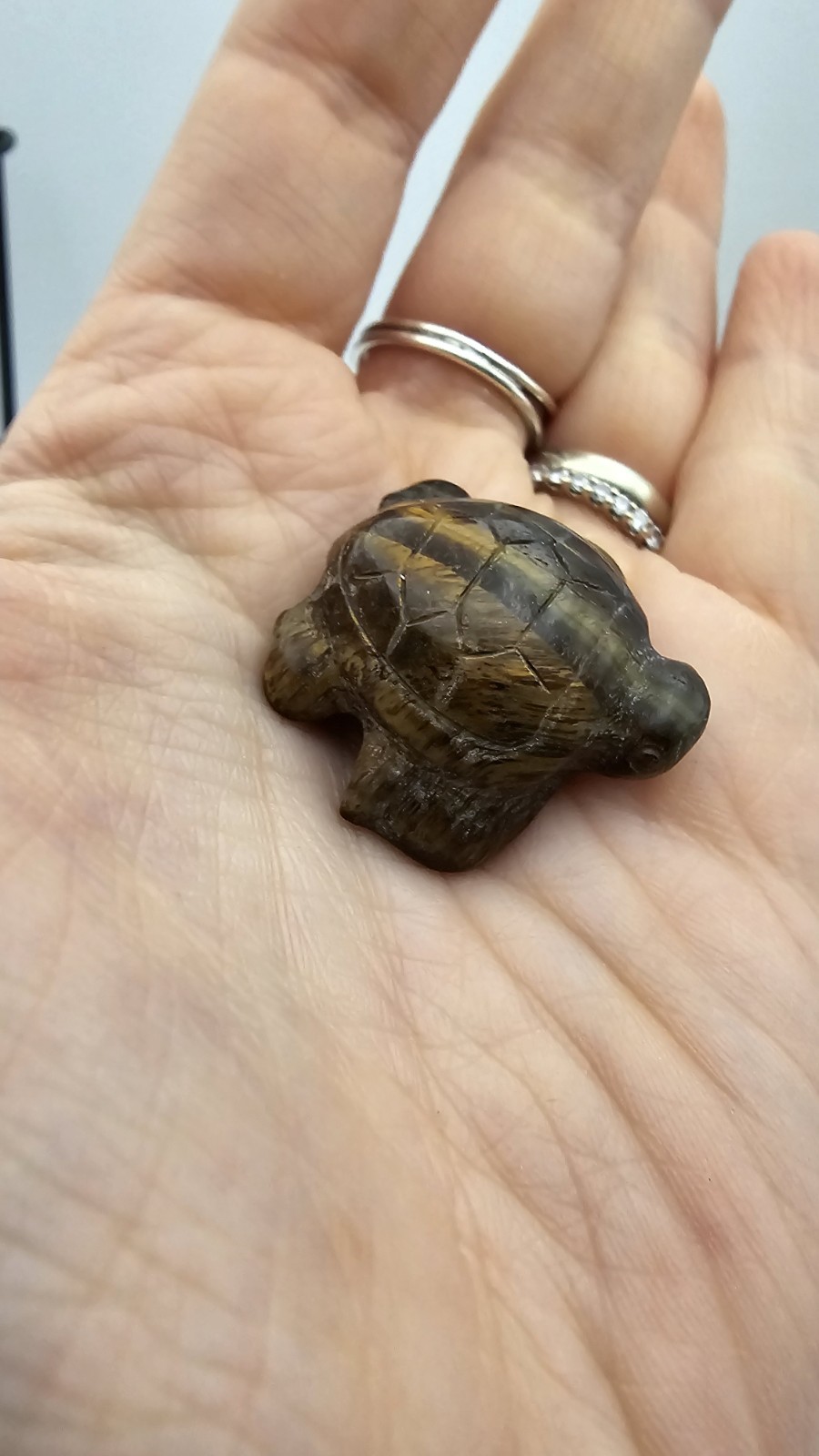 Mini tigers eye crystal Turtle Tortoise Carving 11g 2.8cm