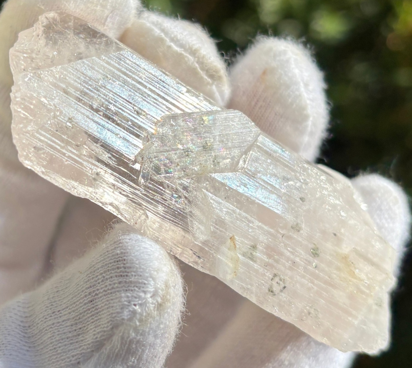 USA SALE *SEE VIDEO* 50g 2.5″ DANBURITE CRYSTAL SPECIMEN CLEAR CLARITY ETCHED
