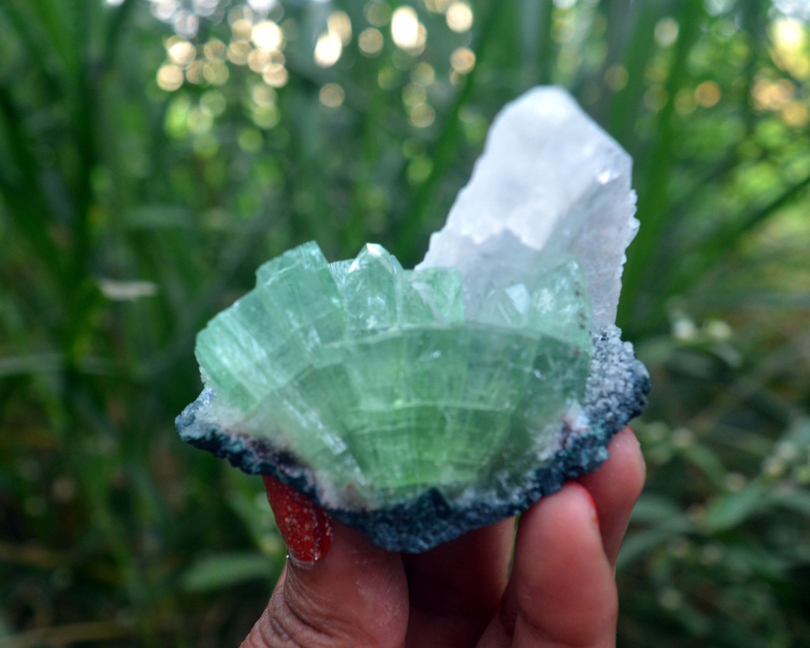 green apophyllite w/ heulandite minerals specimen a-8