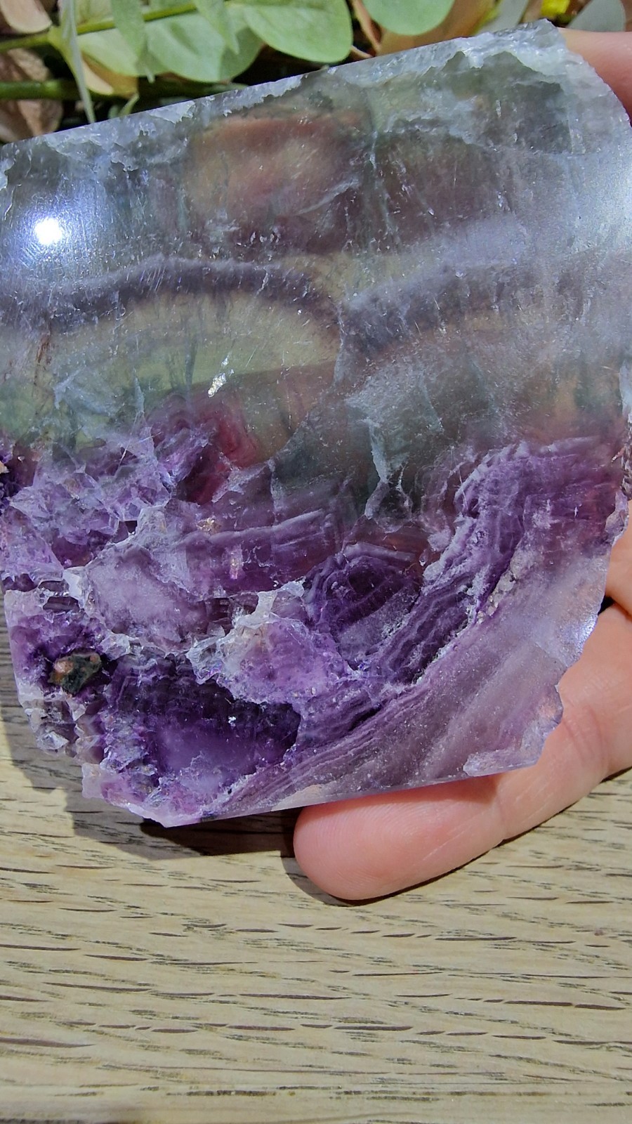 Rainbow Fluorite Crystal Slab Raw Specimen 205g UV Reactive Free Stand