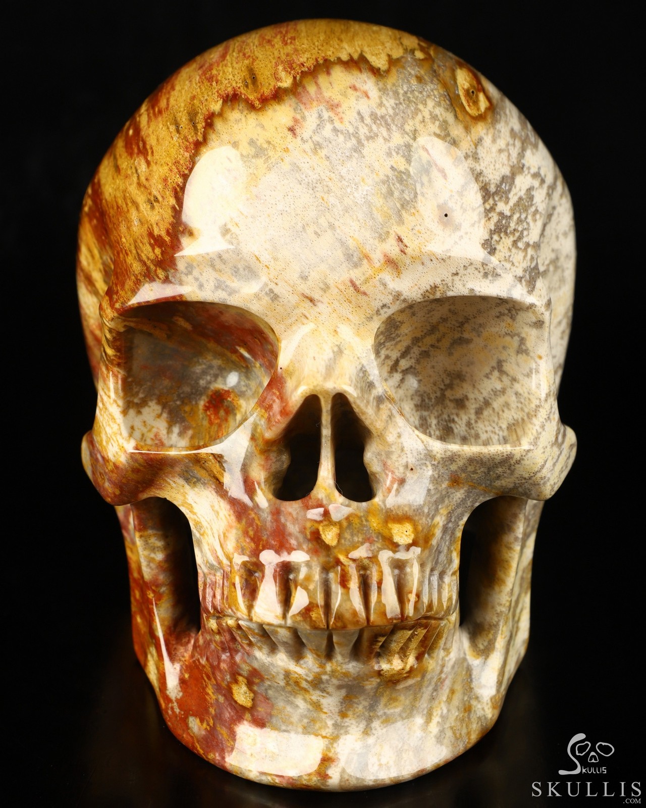 Lifesized 7.0″ Petrified Wood Carved Crystal Skull,Super Realistic, Healing