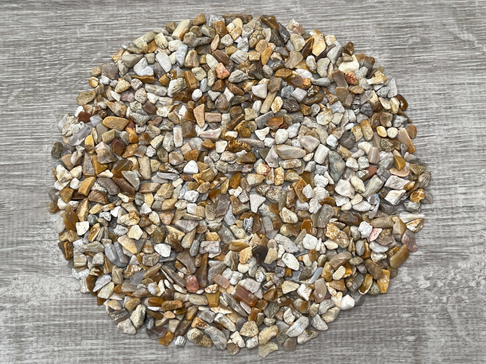 Fossil Coral Semi Tumbled Gemstone Mini Chips 5 – 12 mm, Wholesale Bulk Lot