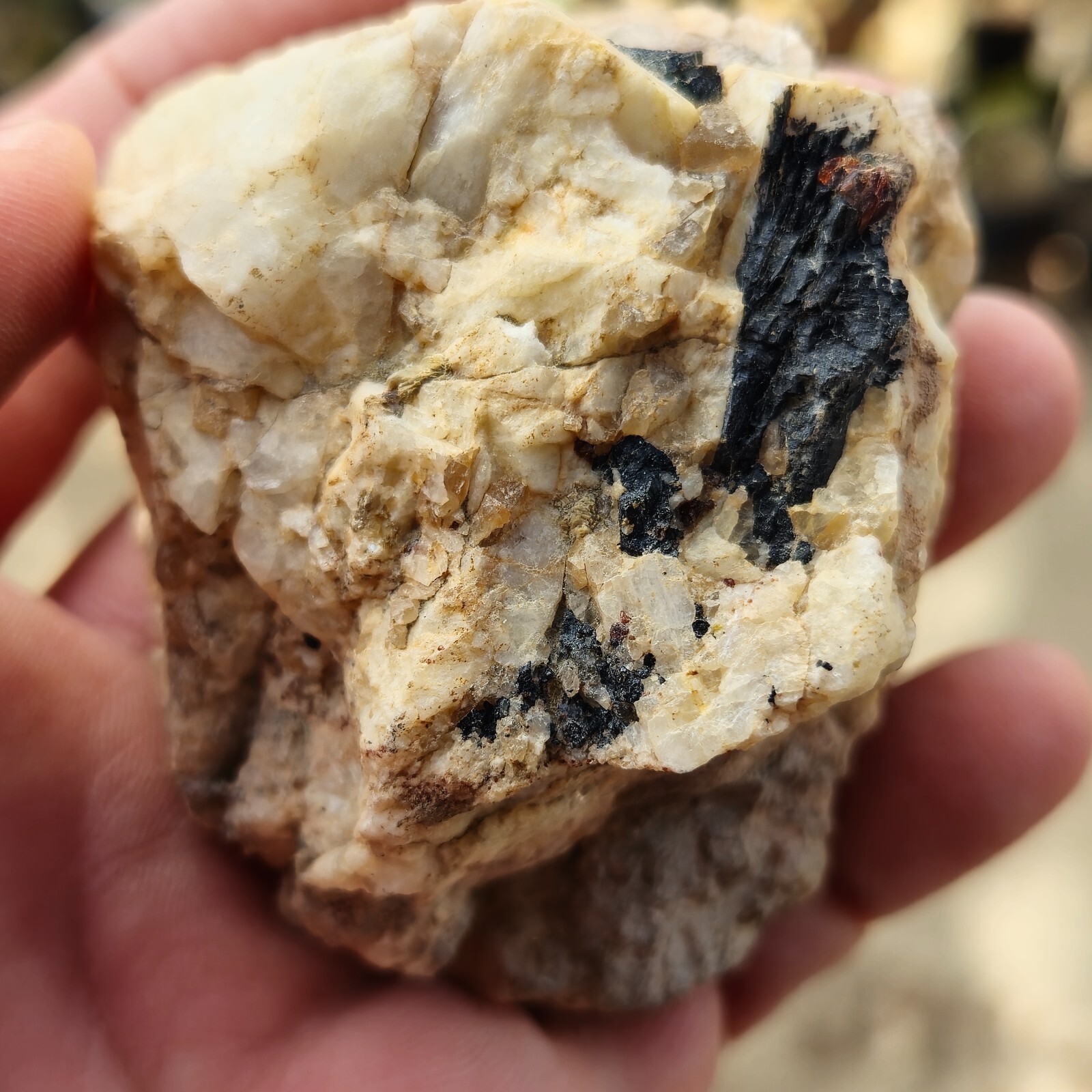 Feldspar Tourmaline W/Garnets Specimen From Mountains of San Diego, California