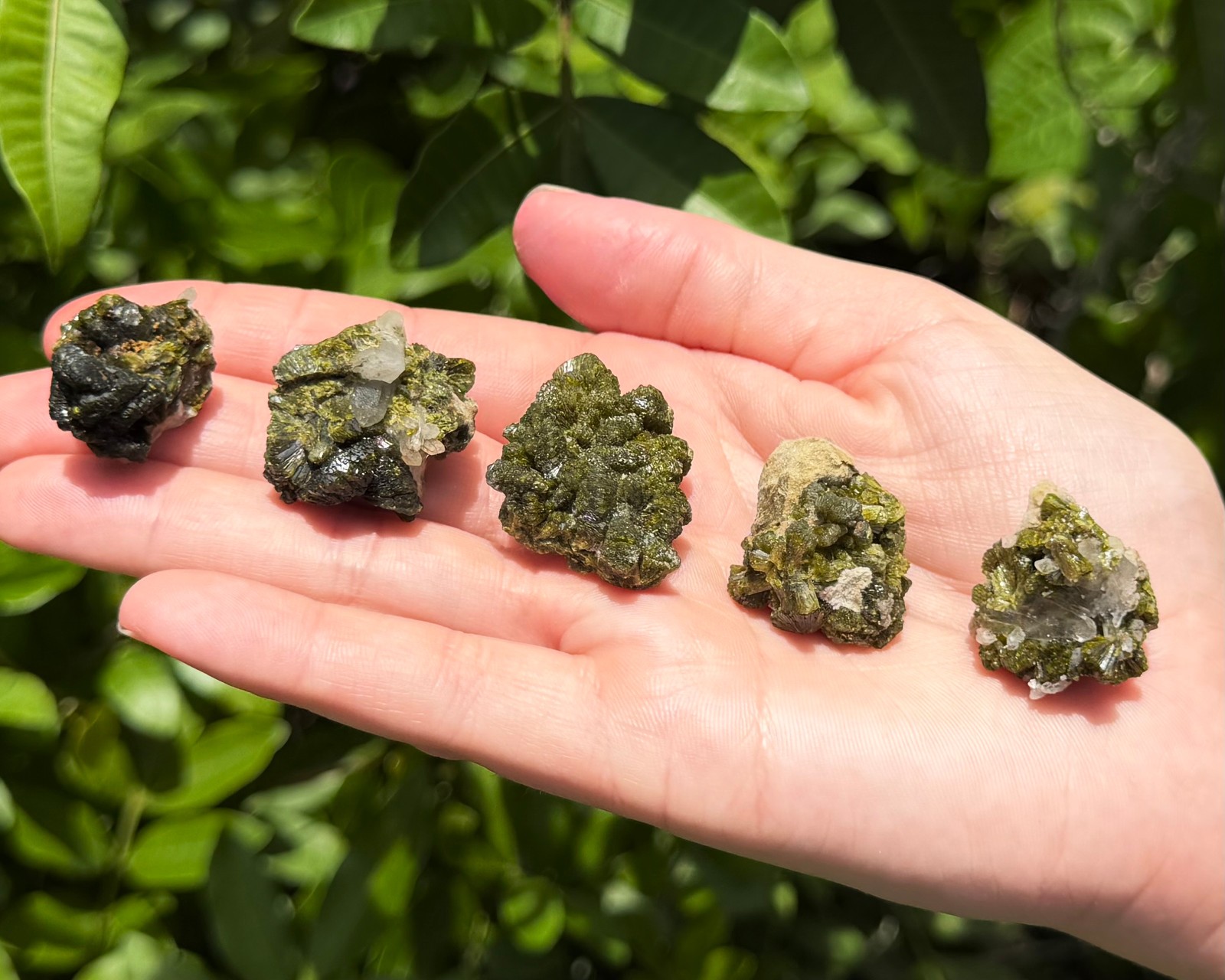 Natural Epidote with Quartz Crystal Clusters – Fairy Forest Quartz Minerals