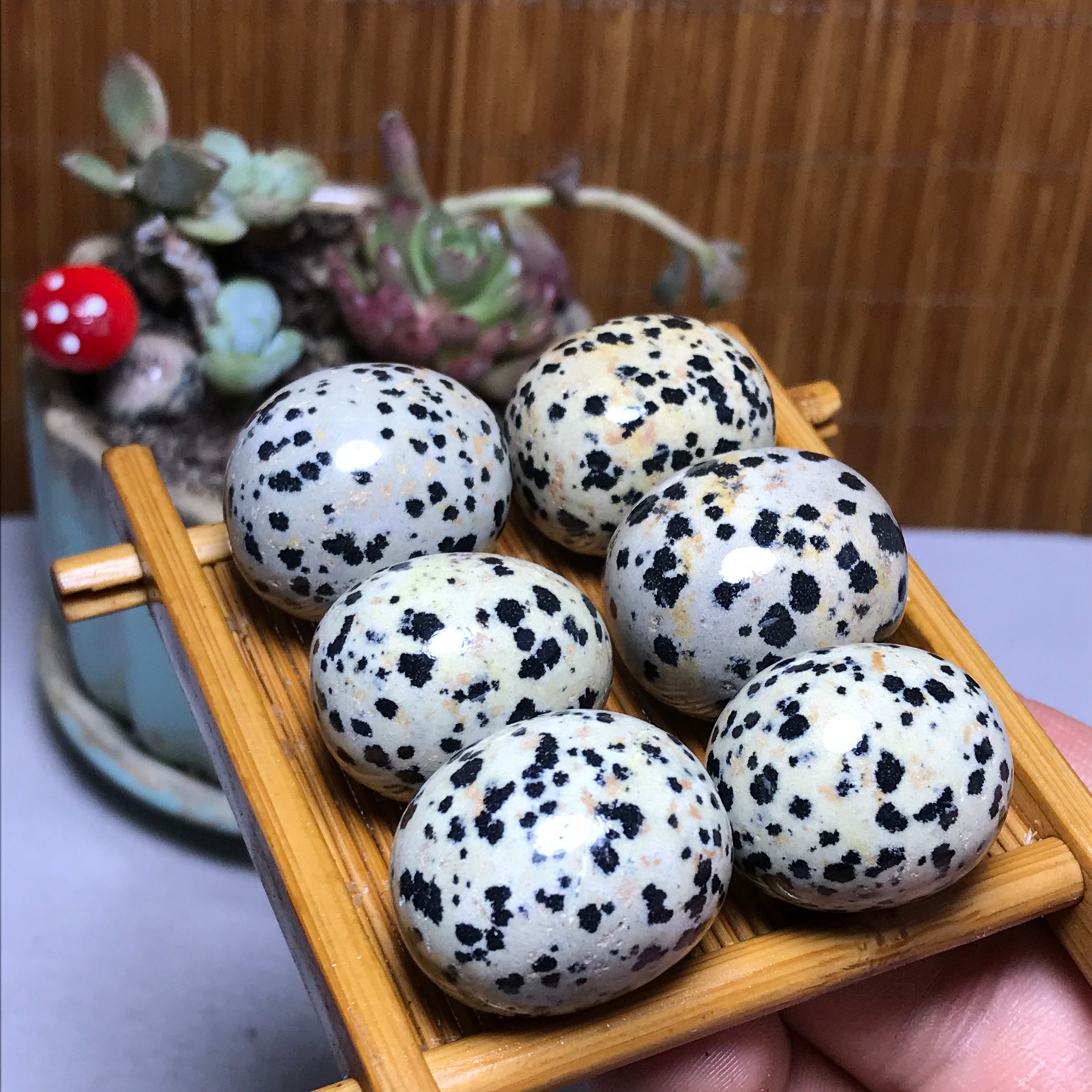 28-22-21mm 6Pcs Natural spotted stone Crystal gemstone Mineral Specimen A4402
