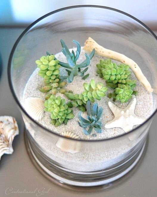 5 lbs. Natural White Beach Sand, Arts and Crafts, Landscaping, DIY Projects